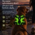 Wayloa LED Dog Harness