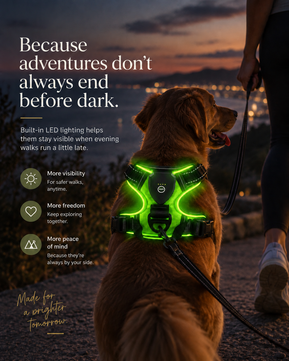 Dog wearing the Wayloa LED Dog Harness glowing green for visibility on walks after dark