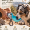Owner pouring water into the bowl of the Wayloa Stainless Steel Dog Water Bottle on a walk