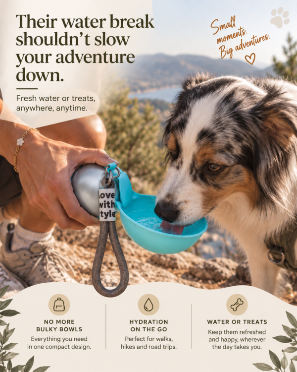 Wayloa Stainless Steel Dog Water Bottle
