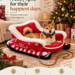 Wayloa Christmas Sleigh Dog Bed
