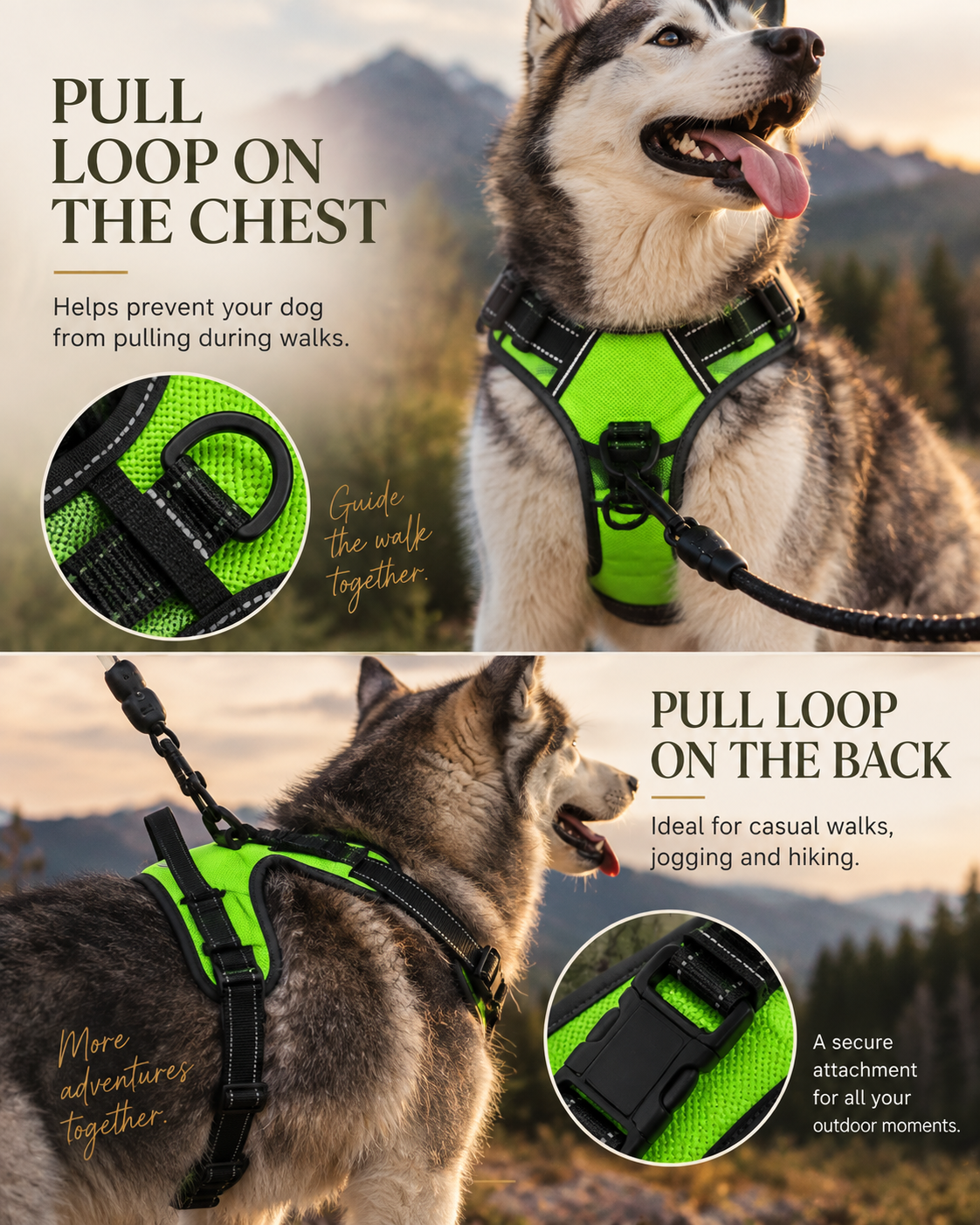 Husky wearing the green Wayloa LED Dog Harness, showing the chest and back pull loops