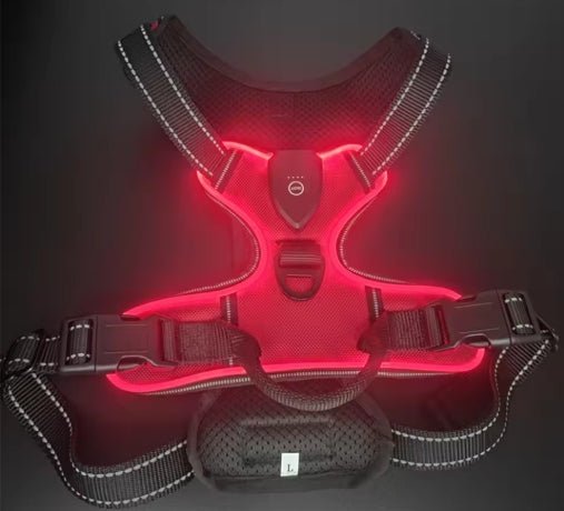 Wayloa LED Dog Harness in red, lit up in the dark with reflective trim
