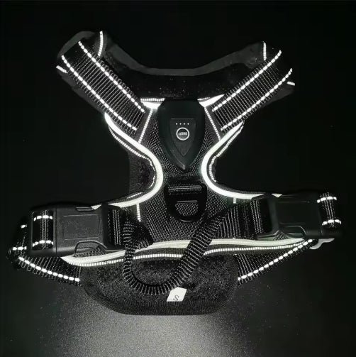 Wayloa LED Dog Harness in black with white light and reflective trim in the dark