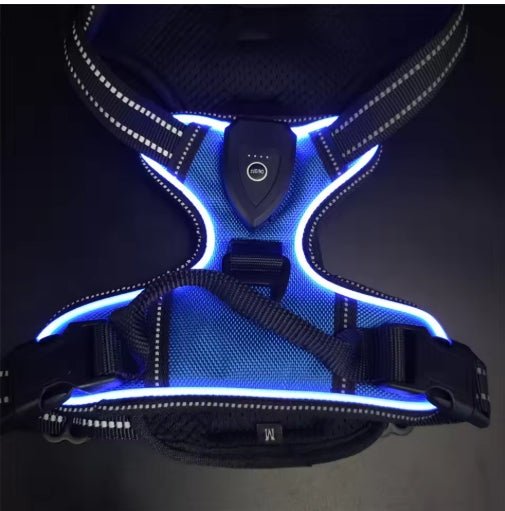 Wayloa LED Dog Harness in blue, lit up in the dark with reflective trim