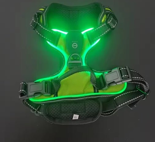 Wayloa LED Dog Harness in green, lit up in the dark with reflective trim