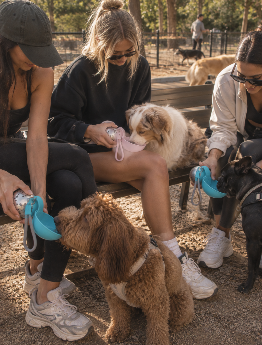 Friends giving their dogs water from Wayloa Stainless Steel Dog Water Bottles in a park