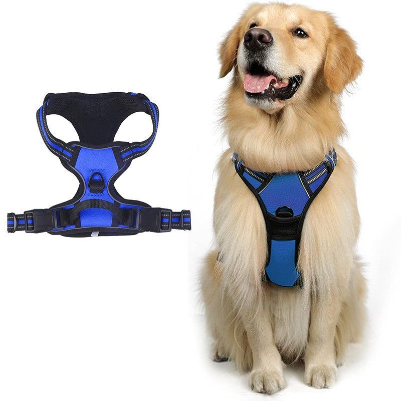 Wayloa Anti-Pull Dog Harness in blue, shown alone and worn by a golden retriever