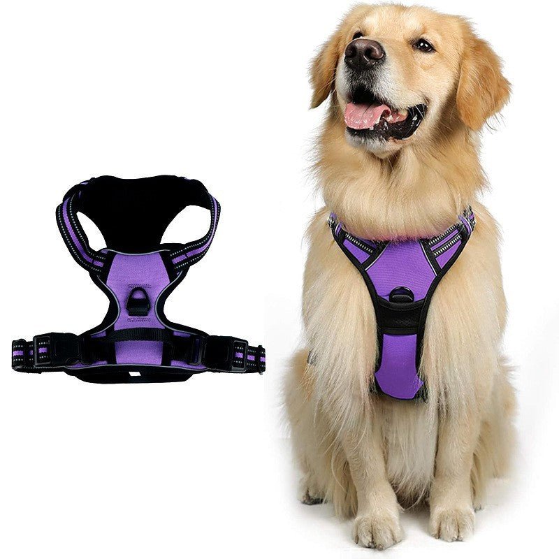 Wayloa Anti-Pull Dog Harness in purple, shown alone and worn by a golden retriever